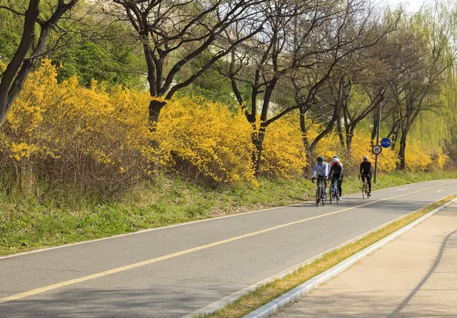 Viet Nam so huu cung duong du lich xe dap dep top dau chau A-Hinh-2