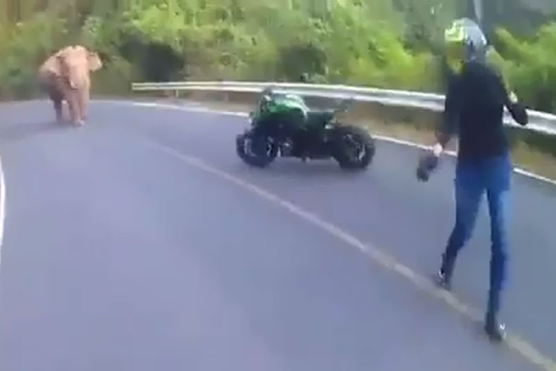 Clip: Bi voi rung chan duong, biker Thai Lan “bo cua chay lay nguoi”