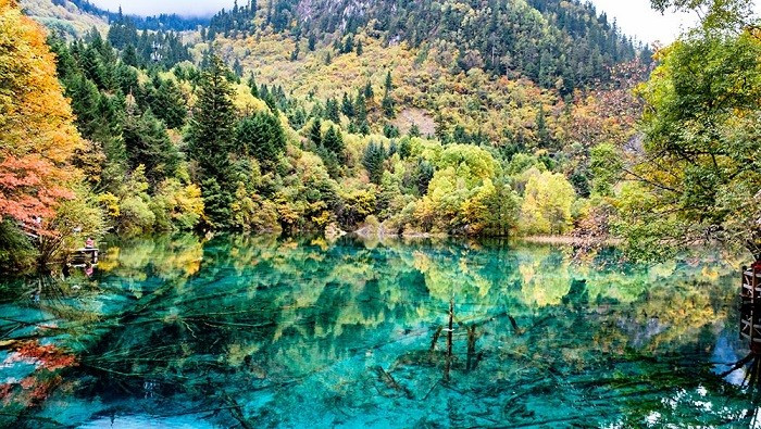 Nhieu diem den Trung Quoc 'thay da doi thit', hay 'xach balo len va di'-Hinh-4