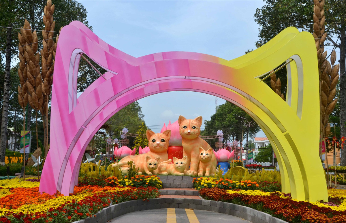 365 sac thai linh vat meo tai duong hoa Xuan Dong Thap-Hinh-7