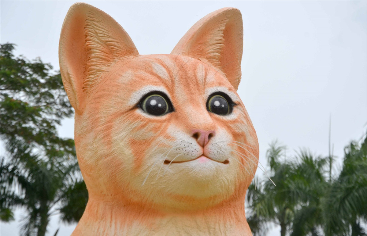 365 sac thai linh vat meo tai duong hoa Xuan Dong Thap-Hinh-9