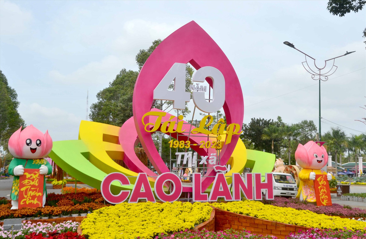 365 sac thai linh vat meo tai duong hoa Xuan Dong Thap-Hinh-13