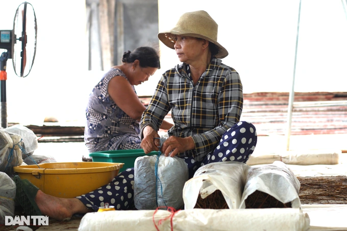 Quảng Nam: Nông dân đổi đời nhờ... rơm rạ - Hình 4 Quang Nam: Nong dan doi doi nho... rom ra-Hinh-4