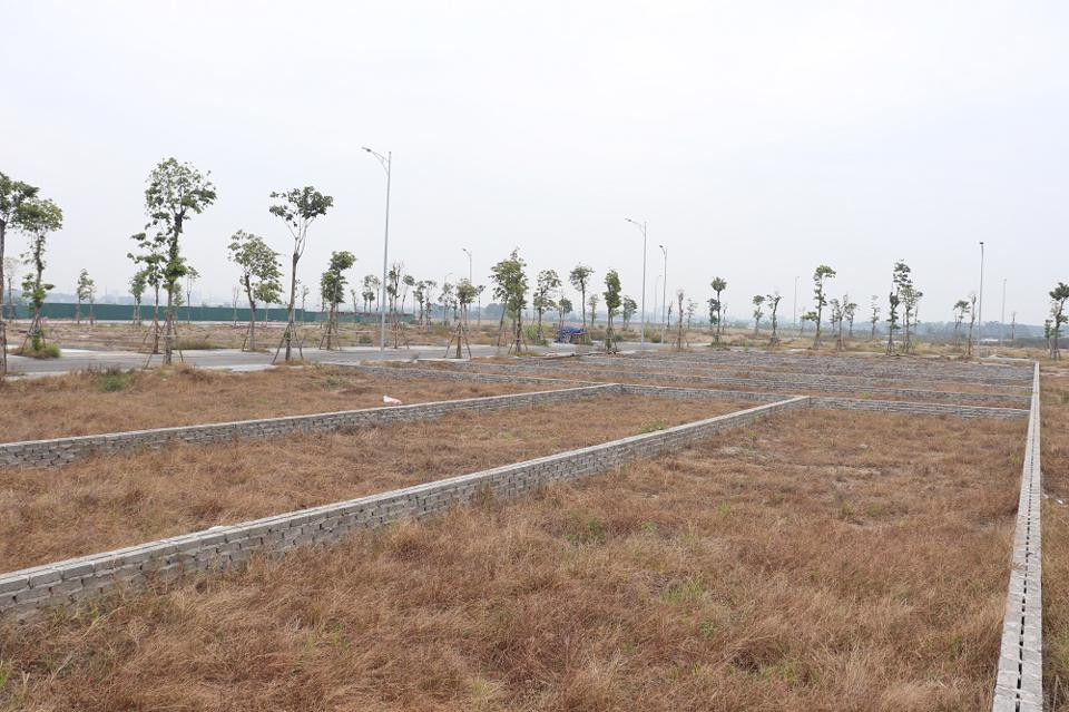 Ha Noi “manh tay” ngan chan phan lo, ban nen dat nong nghiep