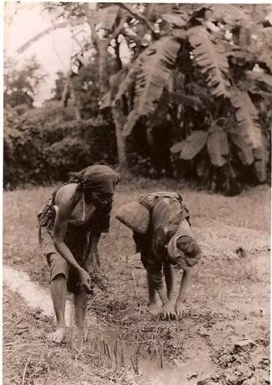Hai người phụ nữ tảo tần, lam lũ đang lao động