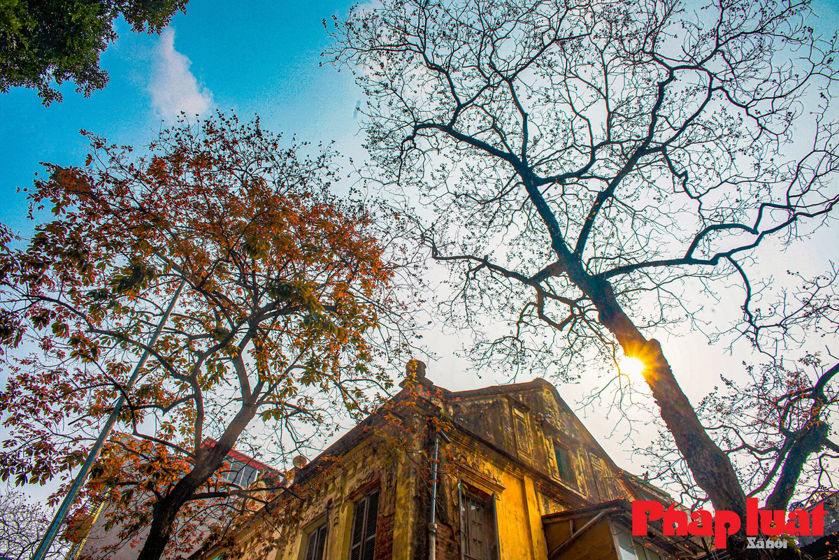 Ha Noi khuc giao mua-Hinh-4