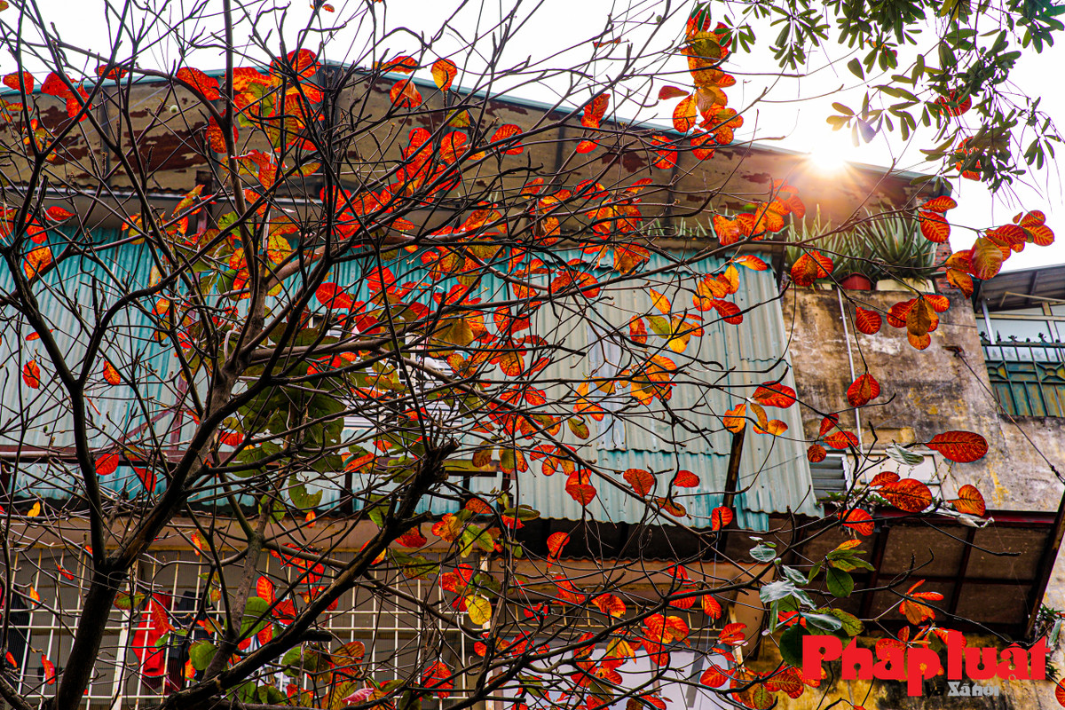 Ha Noi khuc giao mua-Hinh-7