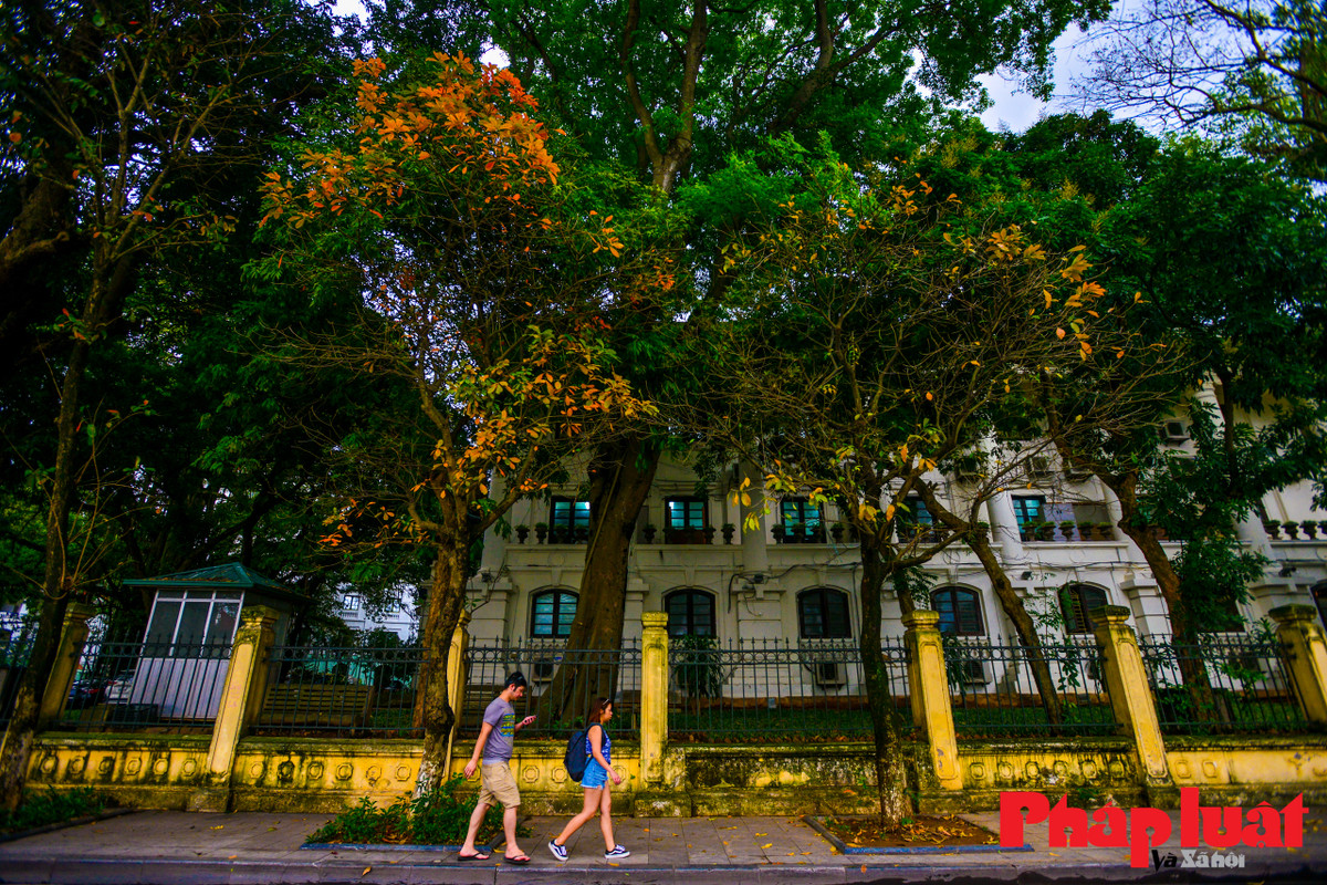 Ha Noi khuc giao mua-Hinh-20