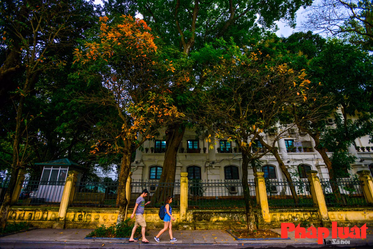 Ha Noi khuc giao mua-Hinh-20