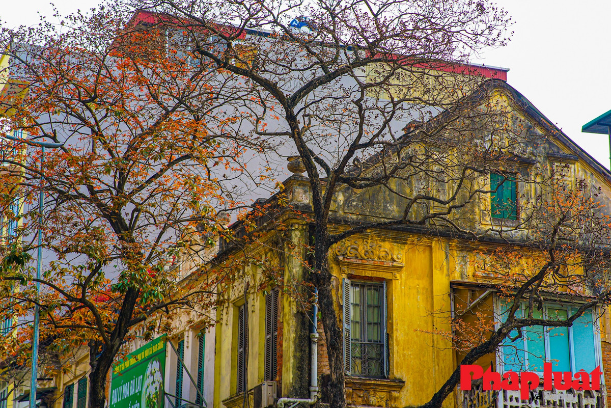 Ha Noi khuc giao mua-Hinh-5