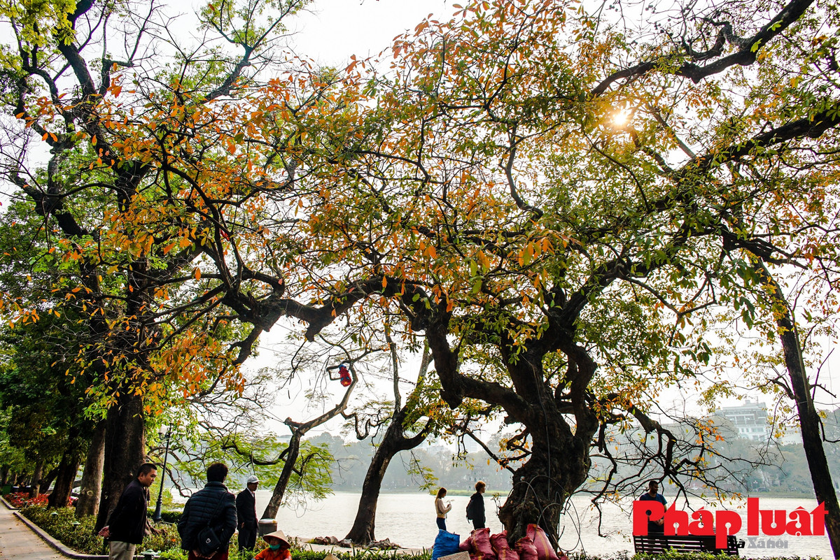 Ha Noi khuc giao mua-Hinh-17