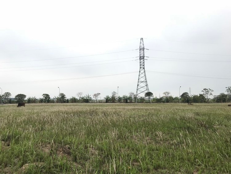 Ha Noi sap “no ro” dau gia dat ven do trong muc 28-50 trieu/m2