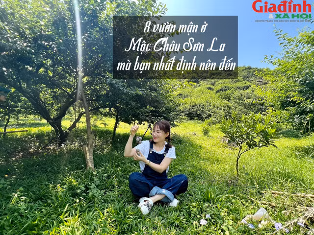 8 vuon man dep nhat Moc Chau Son La khien ai cung muon di ngay