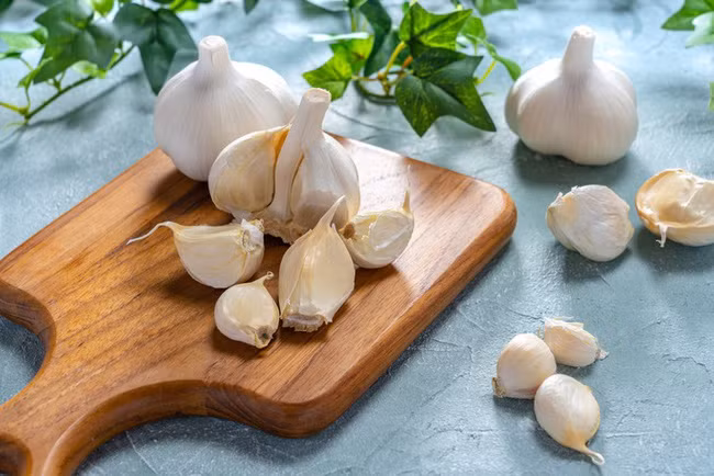 Vì vậy, nấu tỏi ở nhiệt độ cao sẽ khiến tỏi không còn tác dụng chống ung thư. Ngoài tác dụng chống ung thư, tỏi còn có khả năng thông huyết tiêu ứ, thúc đẩy bài tiết dịch vị và tăng cảm giác thèm ăn, tác dụng nhất định đối với việc chữa tim, đau nhức, huyết áp và giảm cholesterol.