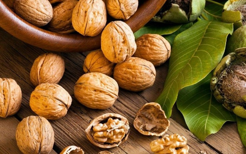 3 - Quả óc chó. Theo một thí nghiệm, hoạt chất của quả óc chó có tác dụng ức chế khối u, công nghệ này được sử dụng cho các khối u khác nhau như ung thư dạ dày, ung thư phổi,… đều có tác dụng ức chế nhất định.