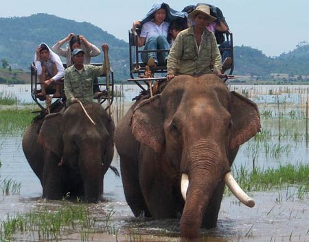 Vua Bao Dai va thu du ngoan “ho thuy quai” cung “gai dep”-Hinh-2