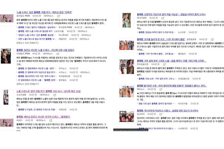 Nhiều tờ báo xứ Hàn đưa tin Bộ Văn hóa đang nghiên cứu hình thức xử phạt hành vi lệch chuẩn cùng sở thích ăn mặc hở bạo của người mẫu Ngọc Trinh. Ảnh: Zing