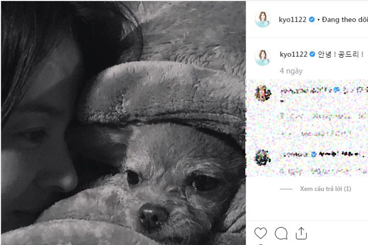 Ít ngày trước khi Song Joong Ki công khai chuyện ly hôn, Song Hye Kyo đăng tải hình ảnh bên chú cún cưng.