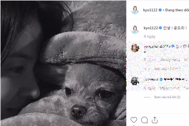 Ít ngày trước khi Song Joong Ki công khai chuyện ly hôn, Song Hye Kyo đăng tải hình ảnh bên chú cún cưng.