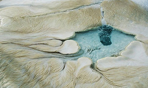 Giao su nguoi My: Nguoi sao Hoa trong nhu my ong?