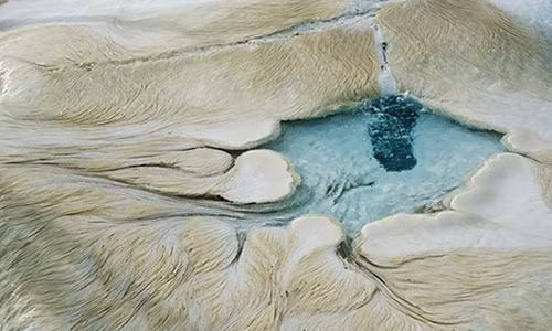 Giao su nguoi My: Nguoi sao Hoa trong nhu my ong?