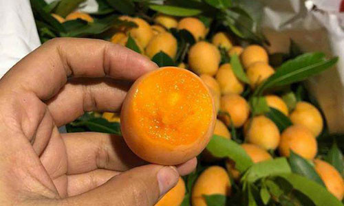 Sot qua thanh tra: Gia “chat”, chua kip ve da chay hang