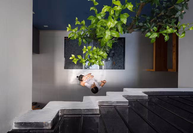 Phần không gian trung tâm còn lại được xây dựng thành một bể cá cảnh nhỏ, trồng thêm cây xanh, bên trên là giếng trời thoáng đãng.