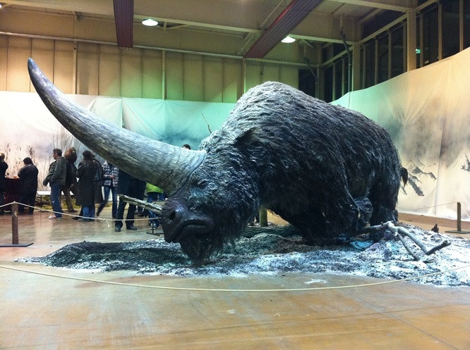 12. Elasmotherium, một con kỳ lân lớn tồn tại từ 29.000 năm trước.