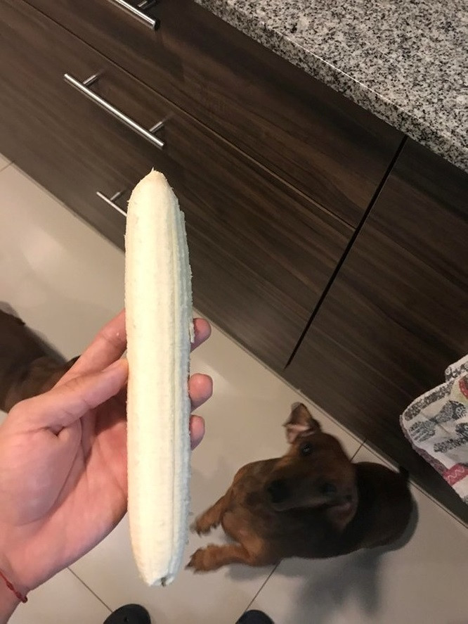 9. Đã bao giờ bạn nhìn thấy một quả chuối siêu thẳng như thế này chưa?