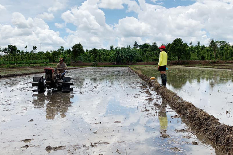 Nàng hoa hậu diện áo vàng, quần short, để mặt mộc, đi dép tổ ong.