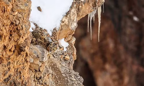 Thoạt nhìn bức ảnh này trông không có gì đặc biệt ngoài một vách đá...