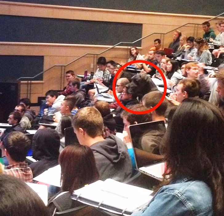 Nhưng khi để ý kỹ, bạn sẽ thấy "người bạn" đặc biệt này.