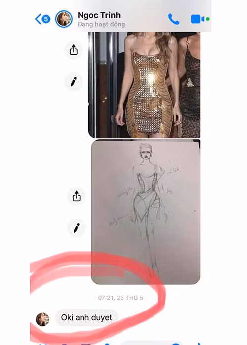 Nam thiết kế tung đoạn chat với Ngọc Trinh để việc điều chỉnh độ gợi cảm của chiếc váy bị cho giống đồ bơi. Ảnh: FBNV