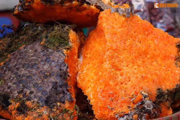 Mật ong rừng hóa đá của Lào Cai.