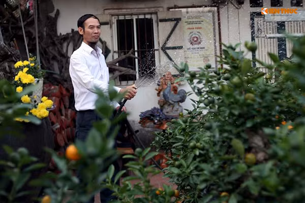 Ông Nguyễn Thế Mạnh (một chủ vườn quất ở Tứ Liên) cho biết, để đưa một cây quất bonsai ra được thị trường phải trải qua công đoạn chăm sóc rất lâu, tốn thời gian. Đặc biệt là việc tạo dáng và cắt tỉa cây. Hiện gia đình có 600 gốc quất bonsai lớn nhỏ để đáp ứng nhu cầu người chơi quất dịp Tết nguyên Đán Đinh Dậu.