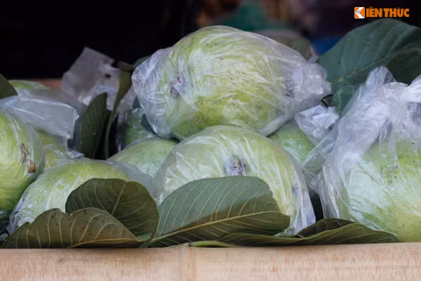 Những trái ổi chín, thơm của Hải Dương cũng được đưa đến hội chợ.