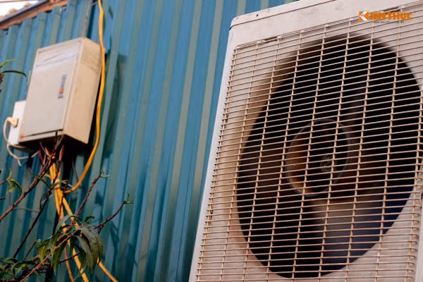 Những gốc đào Thất Thốn được chăm sóc chu đáo "nằm" bên trong phòng tôn kín với những chiếc điều hòa mát lạnh.