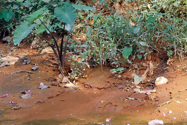 Theo quan sát của PV Kiến Thức, bên cạnh những chỗ xuất hiện màu nước đỏ tươi, thỉnh thoảng có màu nâu sẫm hoặc màu trắng đều có dòng chảy từ một số đường ống nối từ các cơ sở sản xuất, in ấn bao bì nằm ngay sát chân cầu La Khê.