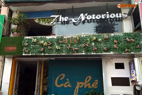 Theo tìm hiểu, trước khi quán cà phê này được mở bán thì người chủ kinh doanh thời trang. Khi chuyển đổi thành quán cà phê, chủ quán đã "sáng tạo" hoa lá cành để che đi bảng hiệu cũ.