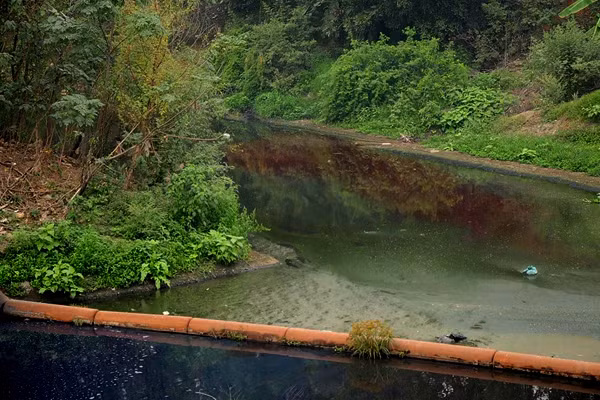 Bên cạnh màu đỏ tươi nhuộm nhánh sông Nhuệ thì mặt nước còn xuất hiện nhiều chỗ nước đen ngòm được xả trực tiếp từ một số ống dẫn xuống sông.