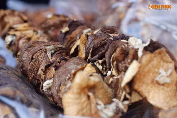 Những xiên măng khô Lào Cai cũng được trưng bày, bán tại hội chợ.