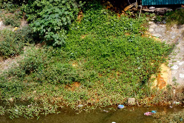 Theo người dân địa phương, họ đã nhiều lần phản ánh lên chính quyền địa phương nhưng đến nay vẫn chưa được xử lý. Mỗi lần người dân di chuyển qua khu vực đều cảm thấy bức xúc, kinh hãi vì màu, mùi thối bốc lên từ dưới sông.