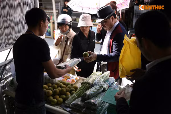 Bên cạnh đó, còn có nhiều sản phẩm như: lương thực, thực phẩm chế biến, thủy hải sản, đồ uống, nước chấm và gia vị, các sản phẩm làng nghề, rau, củ… của các vùng miền Việt Nam cũng được bày bán tại hội chợ.