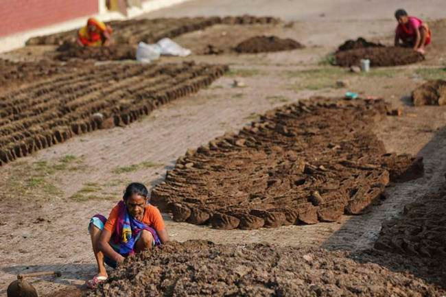 Ví dụ trên trang Amazon, có người rao bán bánh phân bò Ấn Độ với giá rẻ nhất 18,5 USD/gói (~430.000 đồng), đắt nhất 150 USD/gói (~3,48 triệu đồng). Khi bán trên mạng, nó được đóng thành gói từ 2-8 miếng. Giá bán khoảng 1,5 USD (~34.000 đồng) đến 6 USD/gói (~139.000 đồng).