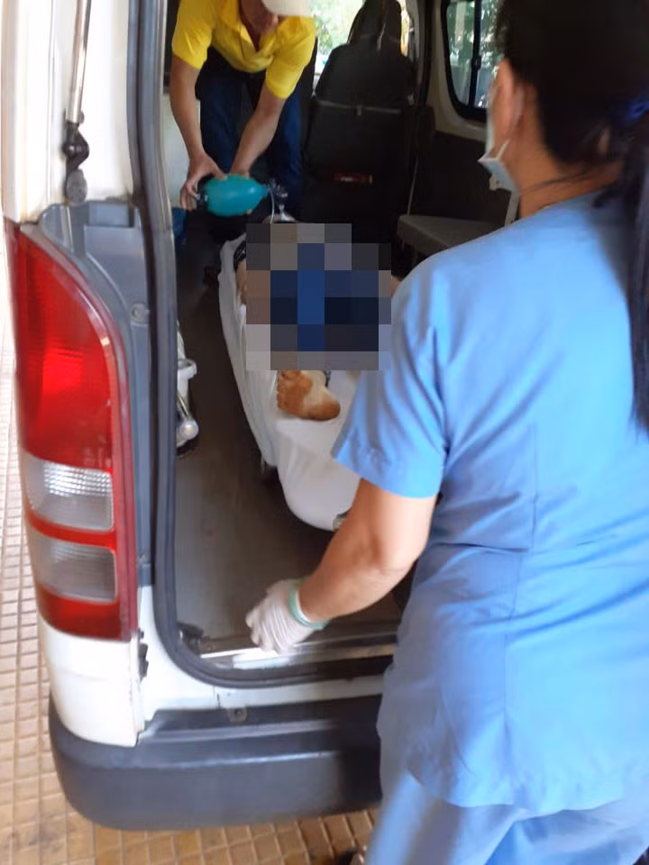 Can chong chem con, vo bi dam tu vong dung mung 1 tet-Hinh-2