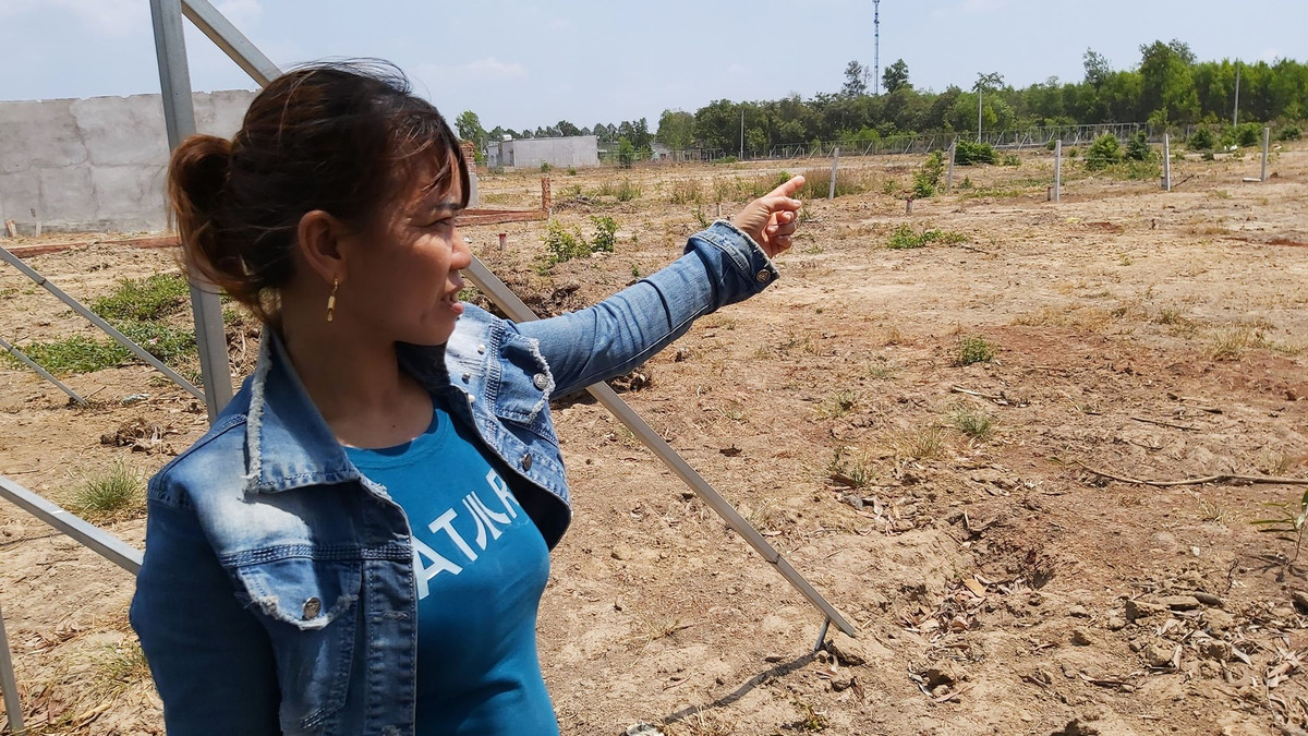 Giam doc Cong ty Hoang Long ve 2 du an 