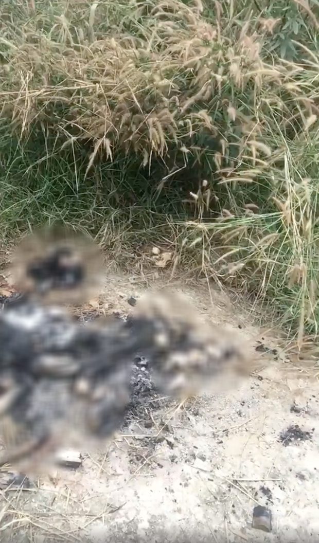 Nguoi phu nu nghi bi dot o nghia trang vung ven Sai Gon la ai?