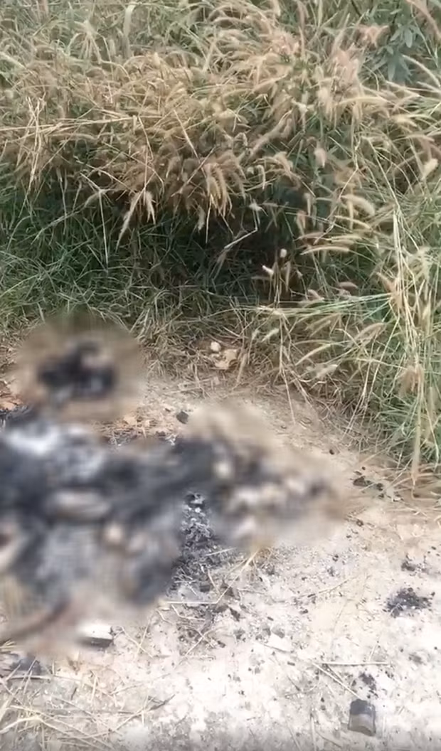 Nguoi phu nu nghi bi dot o nghia trang vung ven Sai Gon la ai?