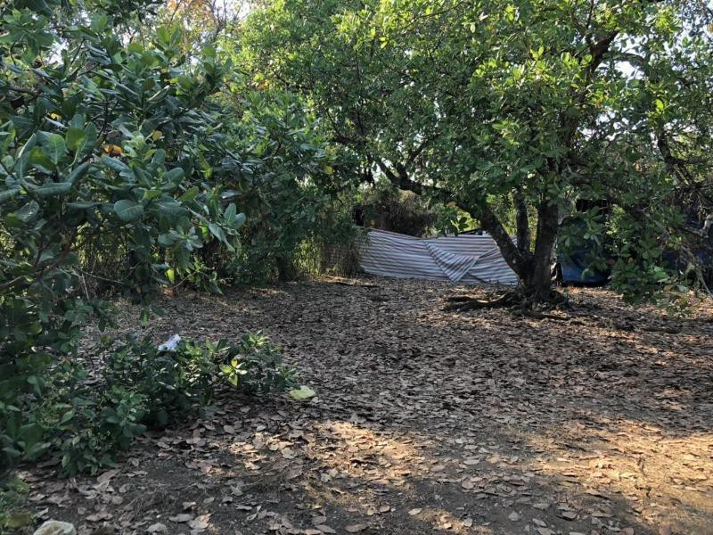 Phát hiện thi thể bé sơ sinh trong bao tải ở vườn điều sau nhà Phat hien thi the be so sinh trong bao tai o vuon dieu sau nha