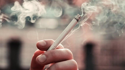 Thực vậy, khói thuốc chứa nicotine cùng nhiều hợp chất nguy hiểm có thể gây tăng huyết áp và nhịp tim, giảm lưu lượng máu tới thận, làm hẹp mạch máu trong thận, đẩy nhanh tiến độ suy thận.